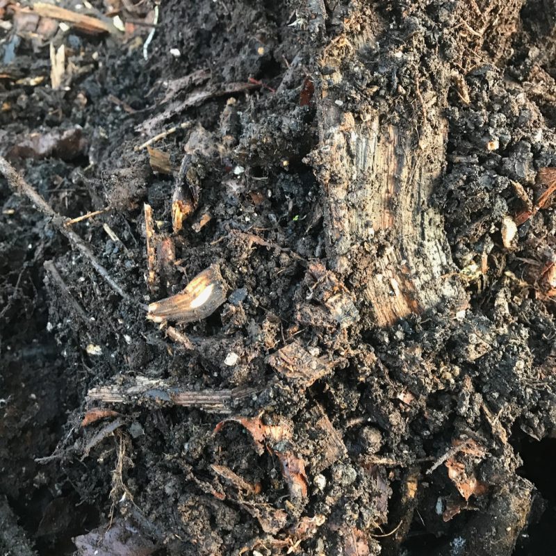 When to use mulch. The soil has a light open structure and its hummus content is very high.